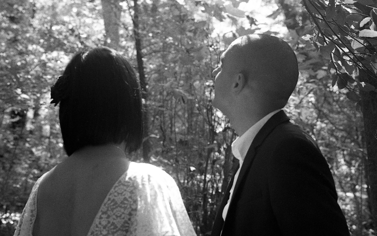 El matrimoni mira d'esquena com s'escolen els rajos de llum entre les fulles
